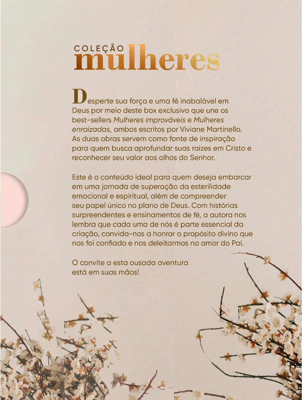 Coleção Mulheres: Coleção Mulheres: - Imagem 2