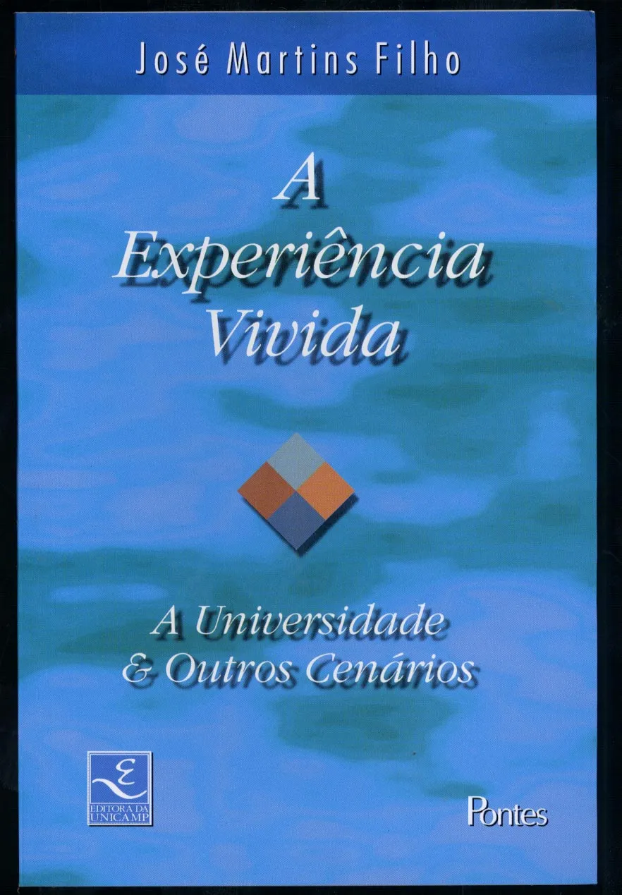 A experiência vivida A experiência vivida