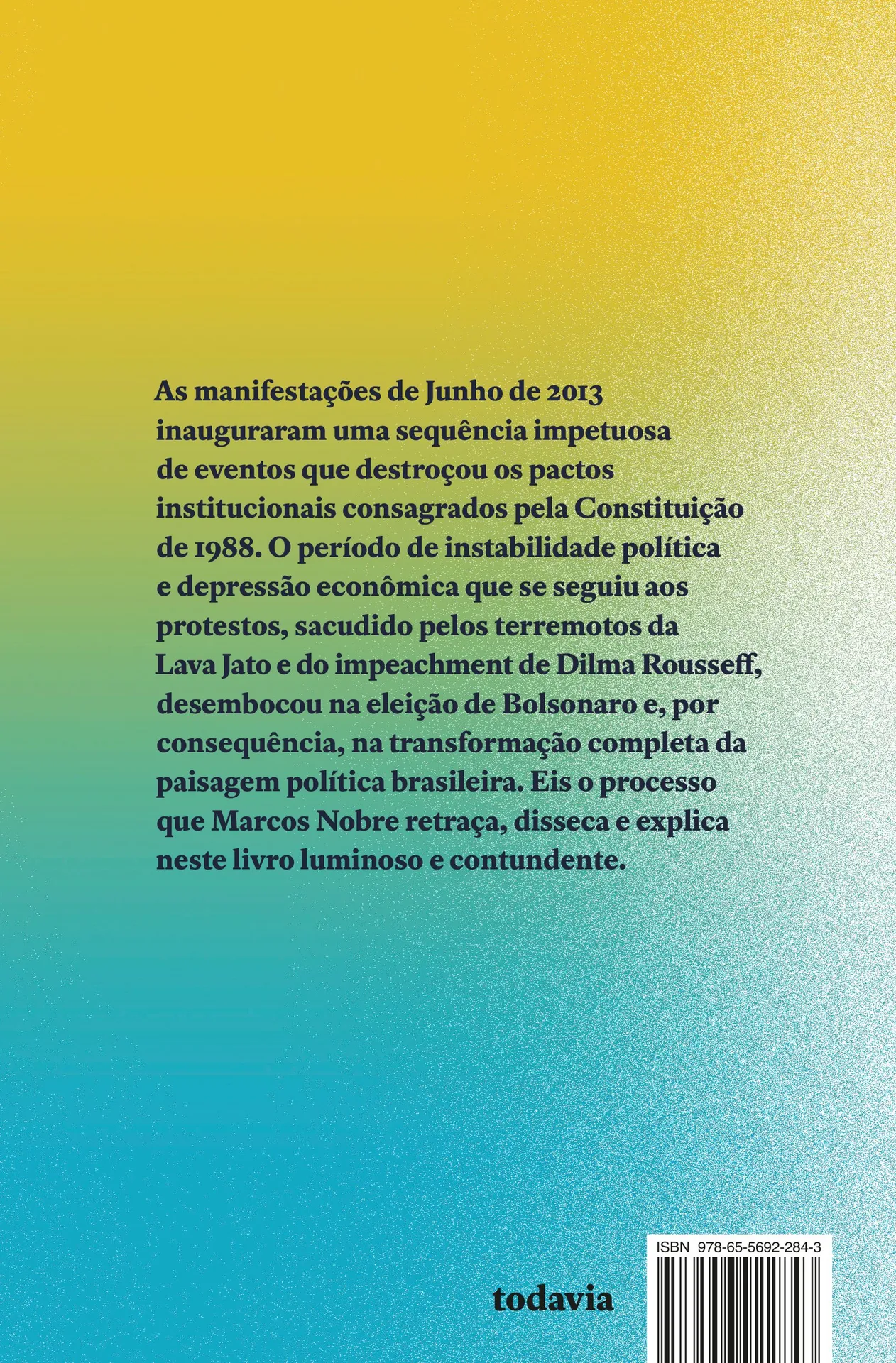 Limites da democracia: de junho de 2013 ao governo Bolsonaro Limites da democracia: de junho de 2013 ao governo Bolsonaro - Imagem 2