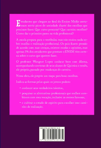 Terminei o ensino médio, e agora?: o que a escola não ensina sobre que profissão seguir Terminei o ensino médio, e agora?: o que a escola não ensina sobre que profissão seguir - Imagem 2