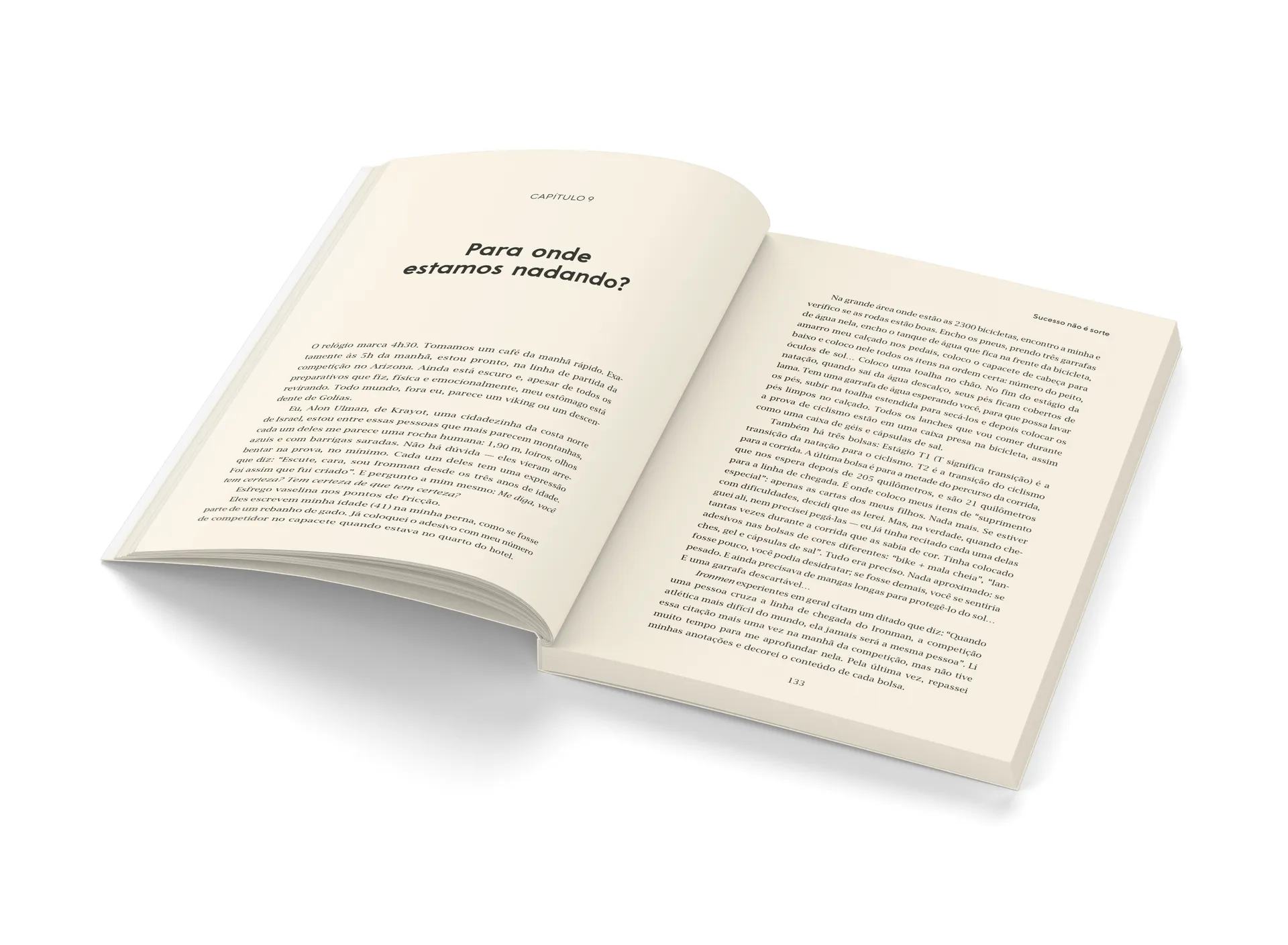Sucesso não é sorte: seis passos simples para atingir qualquer objetivo Sucesso não é sorte: seis passos simples para atingir qualquer objetivo - Imagem 2