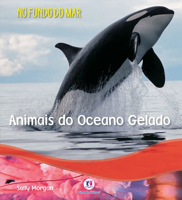 Animais do oceano gelado Animais do oceano gelado