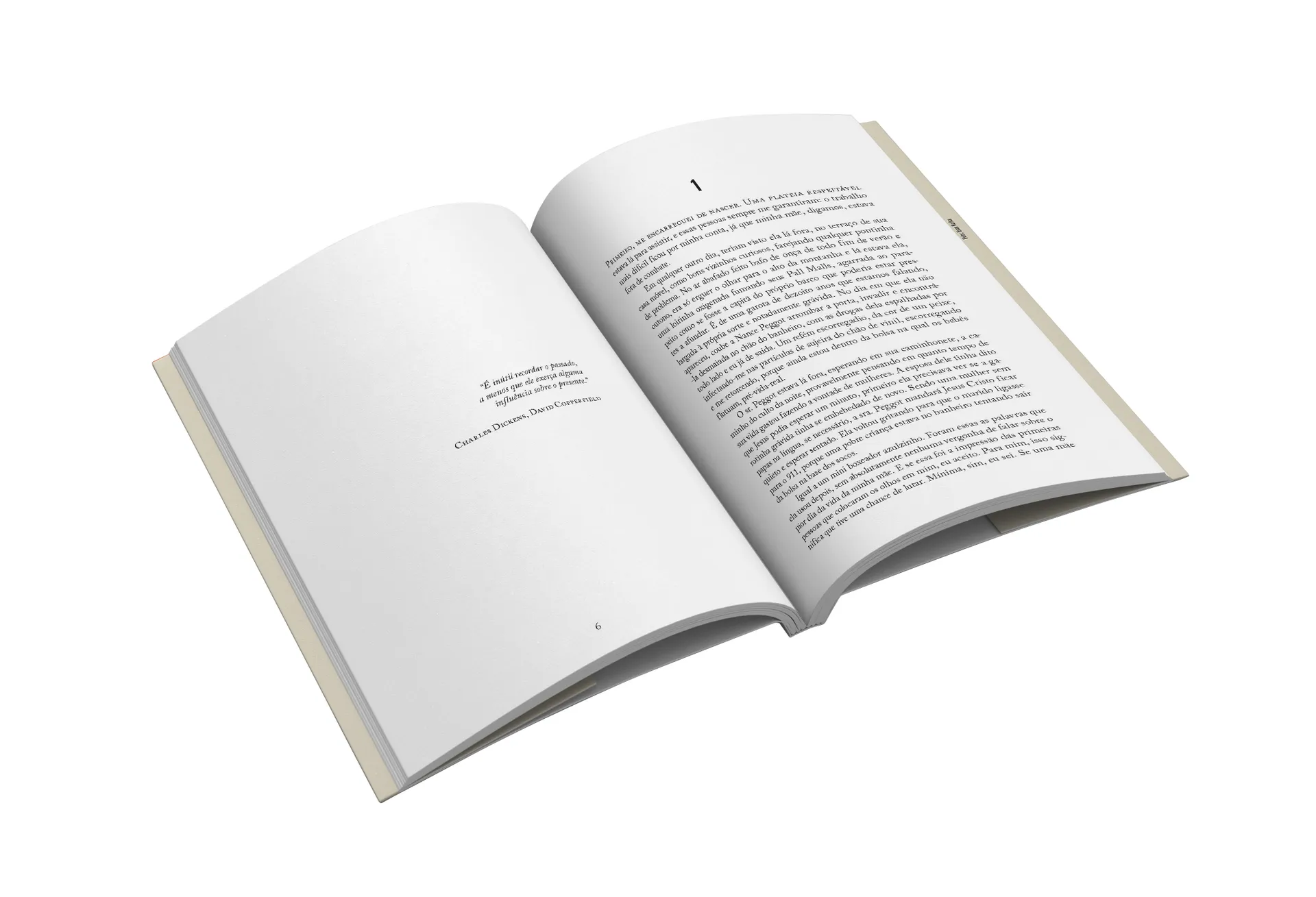 Demon Copperhead: Demon Copperhead: - Imagem 2