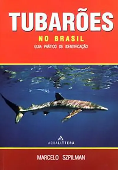 Tubarões no Brasil Tubarões no Brasil