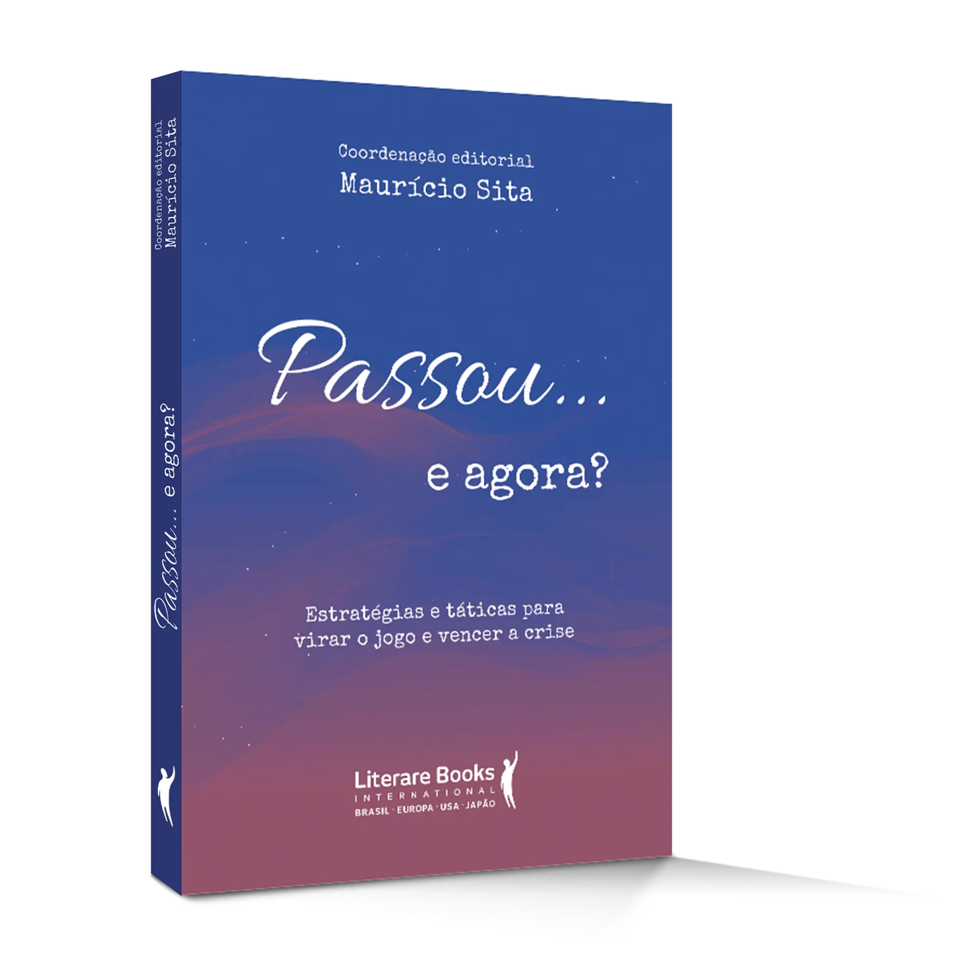 Passou... e agora?: estratégias e táticas para virar o jogo e vencer a crise Passou... e agora?: estratégias e táticas para virar o jogo e vencer a crise - Imagem 2