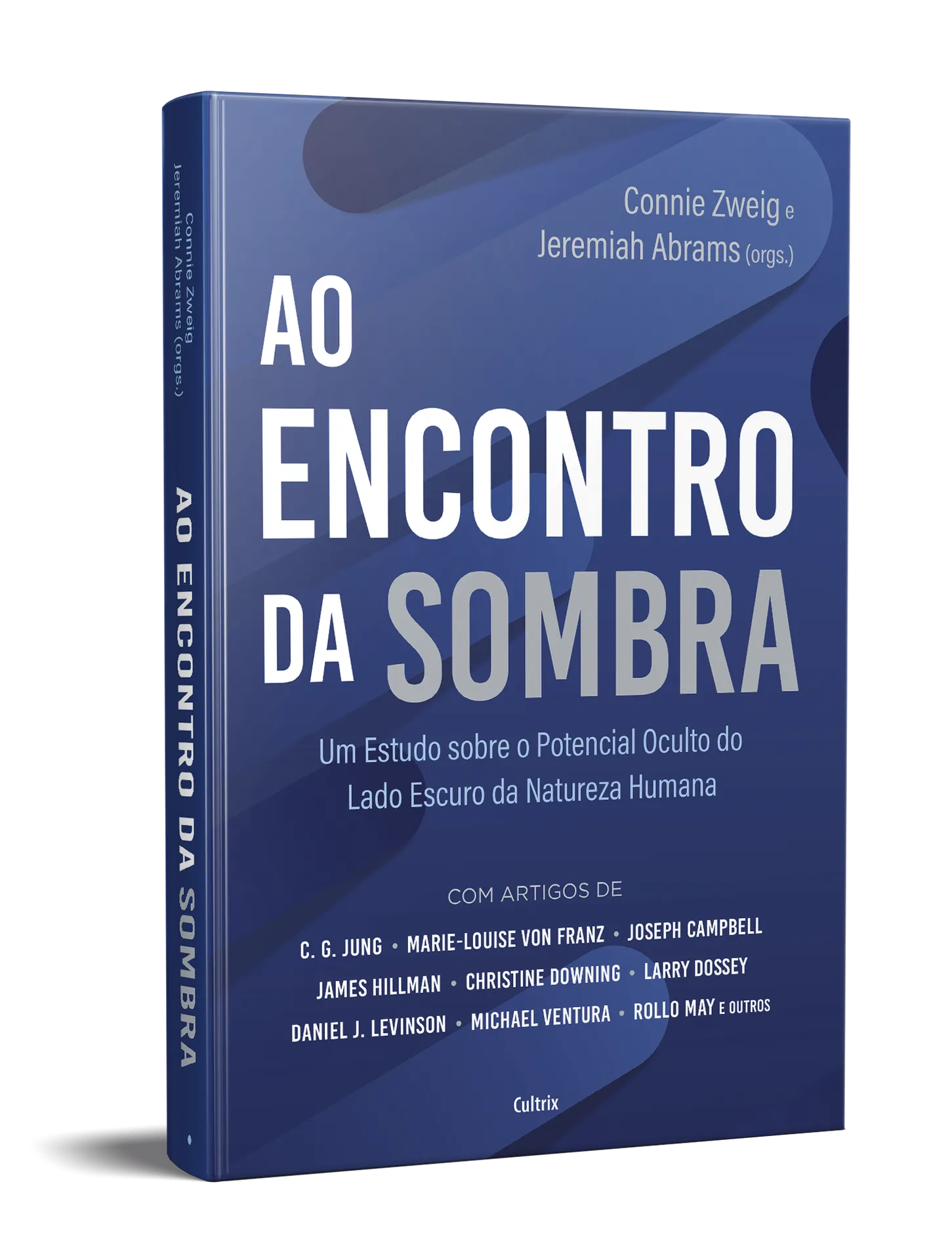 Ao encontro da sombra: um estudo sobre o potencial oculto do lado escuro da natureza humana Ao encontro da sombra: um estudo sobre o potencial oculto do lado escuro da natureza humana - Imagem 3