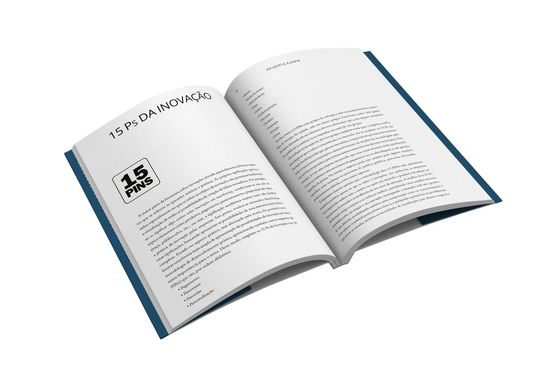 Os 15 Ps da Inovação: uma metodologia prática para o desenvolvimento de inovações nas empresas Os 15 Ps da Inovação: uma metodologia prática para o desenvolvimento de inovações nas empresas - Imagem 2