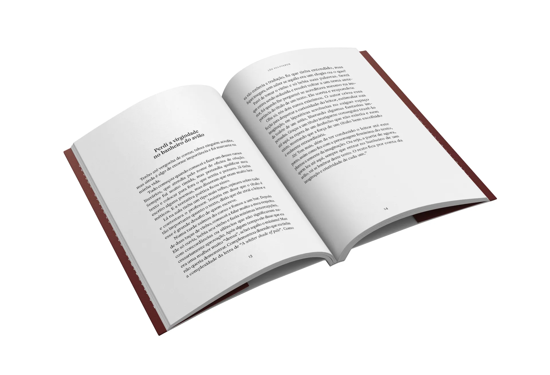 Perdi a virgindade no banheiro do avião: crônicas Perdi a virgindade no banheiro do avião: crônicas - Imagem 2