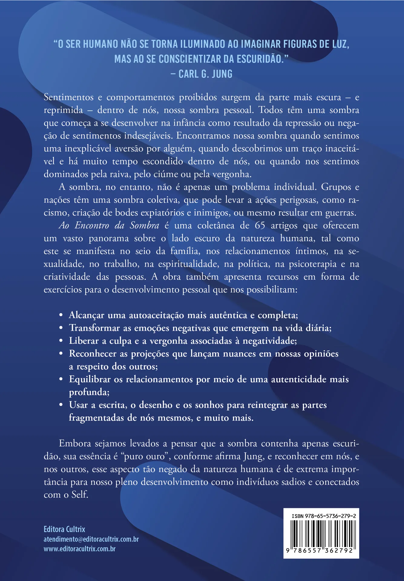 Ao encontro da sombra: um estudo sobre o potencial oculto do lado escuro da natureza humana Ao encontro da sombra: um estudo sobre o potencial oculto do lado escuro da natureza humana - Imagem 2