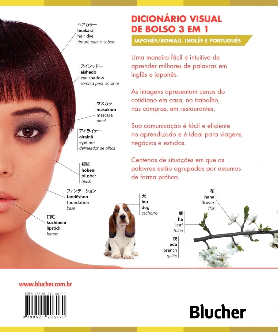 Dicionário visual de bolso - 3 em 1: japonês-romaji/inglês/português Dicionário visual de bolso - 3 em 1: japonês-romaji/inglês/português - Imagem 2