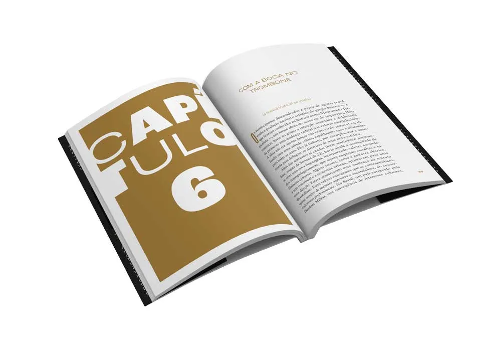 Pra mim chega: a biografia de Torquato Neto Pra mim chegaImagens Internas