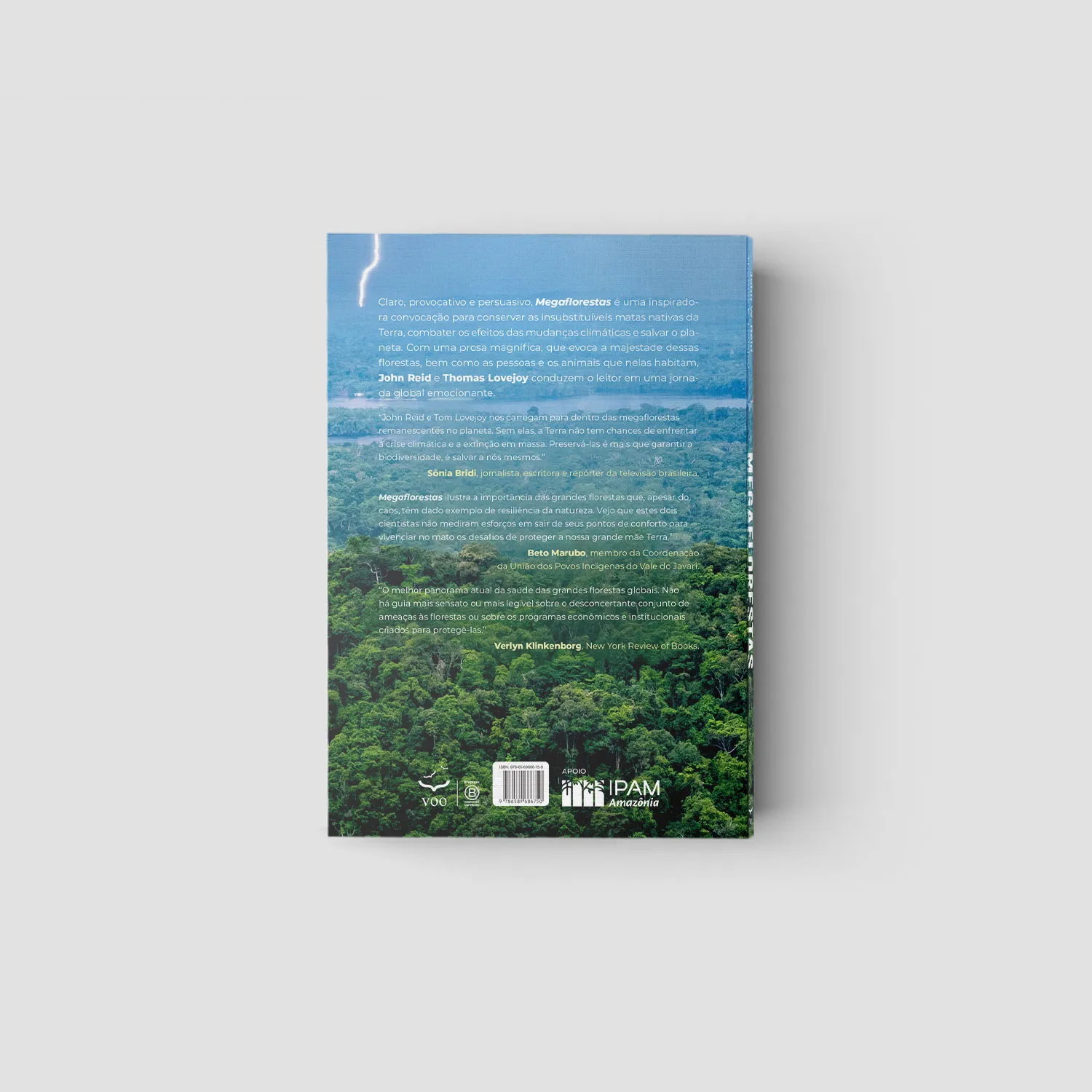 Megaflorestas: preservar o que temos para salvar o planeta Megaflorestas: preservar o que temos para salvar o planeta - Imagem 2
