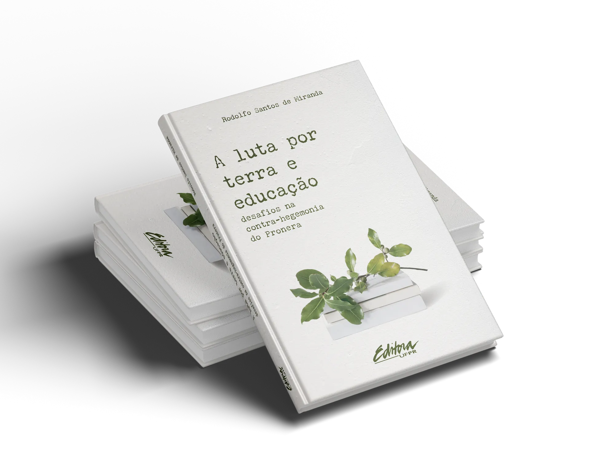 A luta por terra e educação: desafios na contra-hegemonia do Pronera A luta por terra e educação: desafios na contra-hegemonia do Pronera - Imagem 3