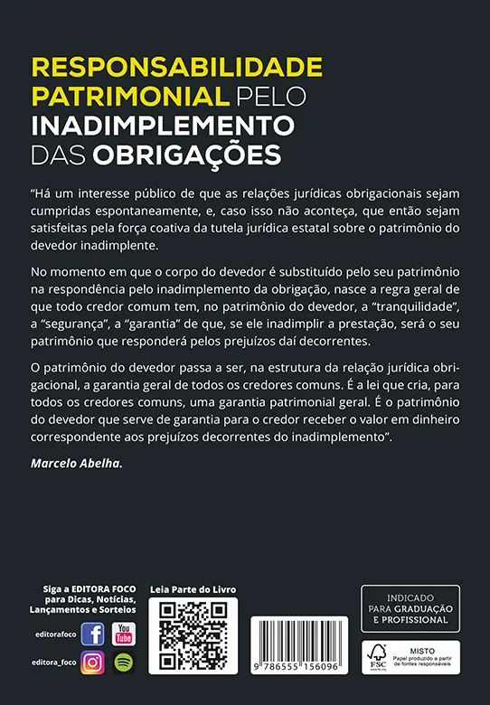 Responsabilidade Patrimonial pelo Inadimplemento das Obrigações: Responsabilidade Patrimonial pelo Inadimplemento das Obrigações: - Imagem 2