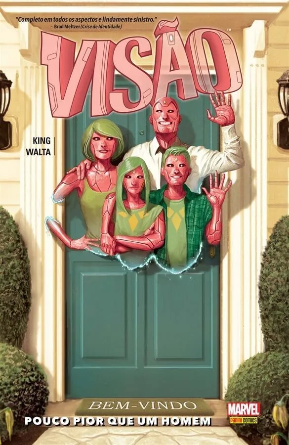 Visão: pouco pior que um homem Visão: pouco pior que um homem