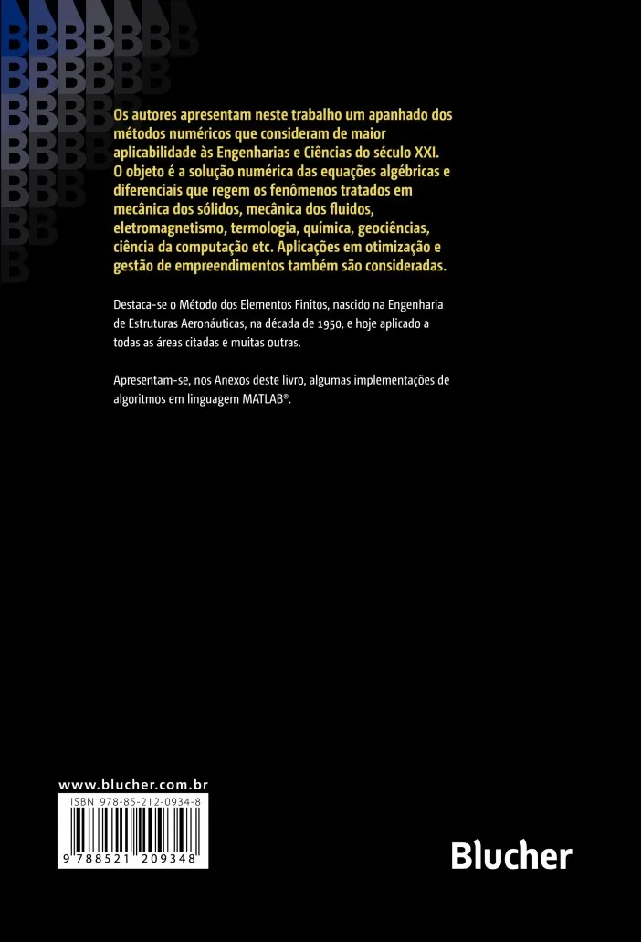 Métodos numéricos e computacionais na prática de engenharias e ciências: Métodos numéricos e computacionais na prática de engenharias e ciências: - Imagem 2