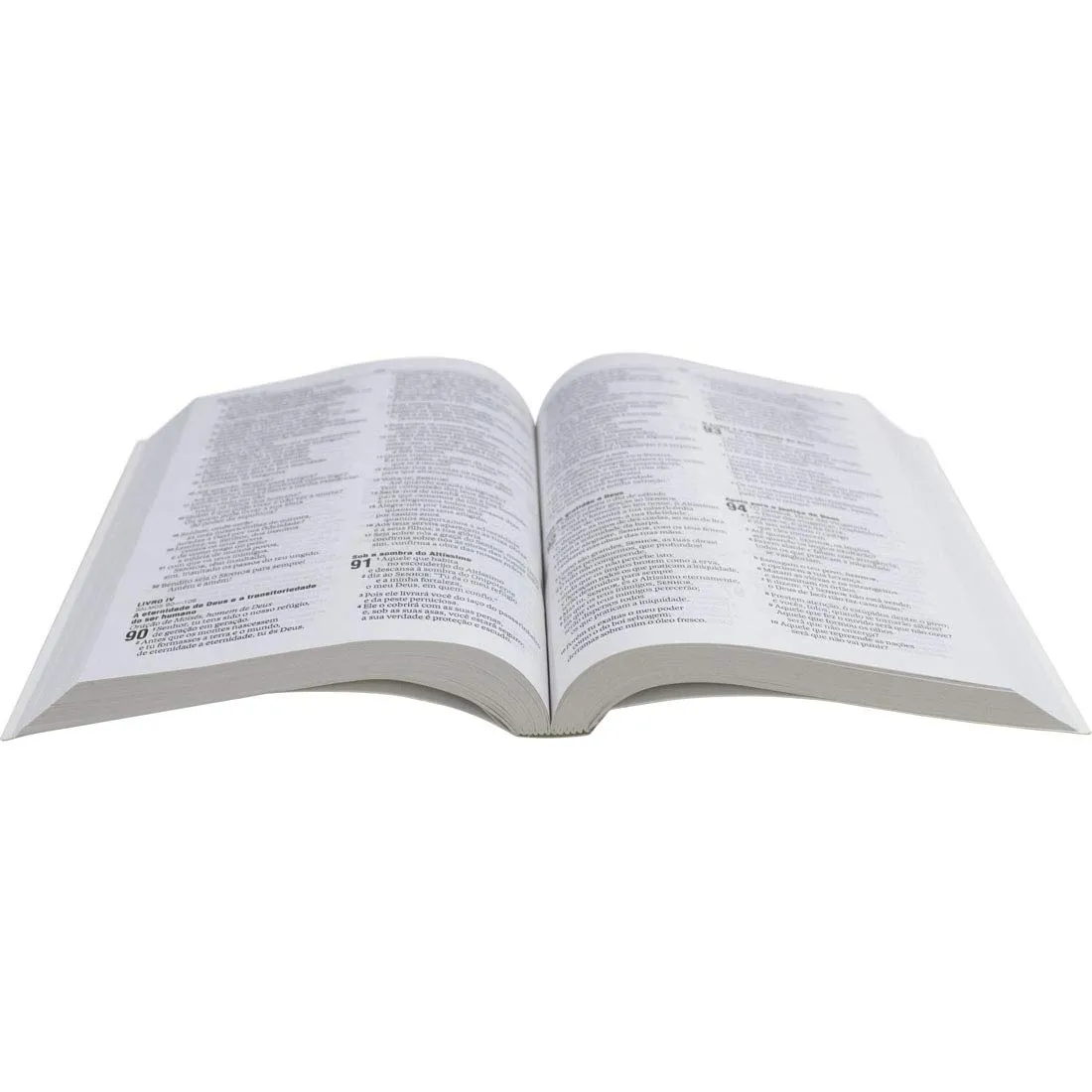 Bíblia do leão lilás - Brochura - NAA - Book7