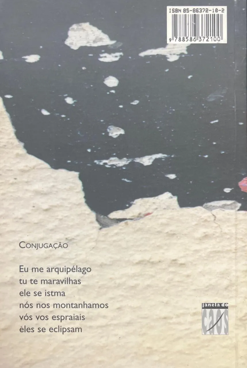 Lição de casa: e poemas interiores Lição de casa: e poemas interiores - Imagem 2