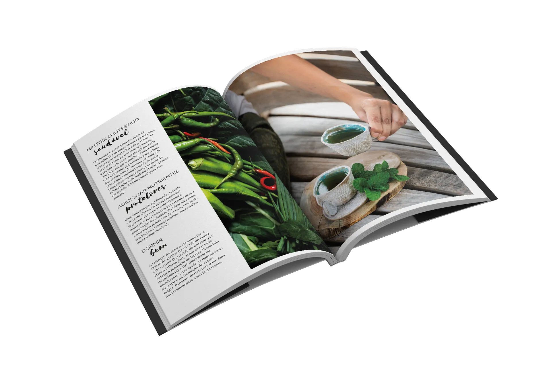 Receitas para o equilíbrio: antroposofia, ayurveda, zen-budismo e pancs Receitas para o equilíbrio: antroposofia, ayurveda, zen-budismo e pancs - Imagem 2