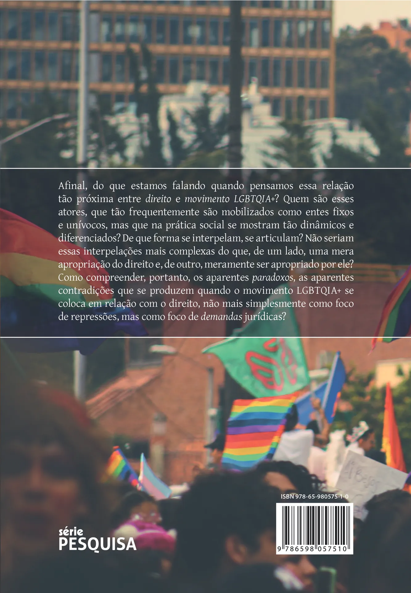 Movimento LGBTQIA+ e direito: uma genealogia Movimento LGBTQIA+ e direito: uma genealogia - Imagem 2