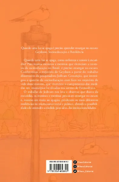 Quando uma luz se apaga e outra se acende: o menino Geydson e a liberdade assistida no sertão de Pernambuco Quando uma luz se apaga e outra se acende: o menino Geydson e a liberdade assistida no sertão de Pernambuco - Imagem 2