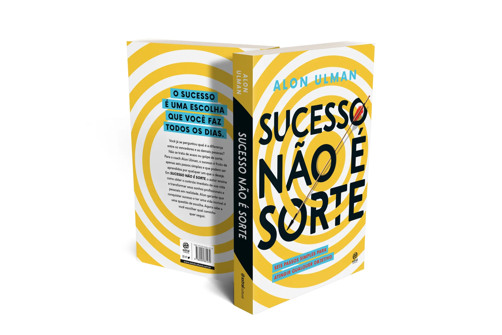 Sucesso não é sorte: seis passos simples para atingir qualquer objetivo Sucesso não é sorte: seis passos simples para atingir qualquer objetivo - Imagem 3