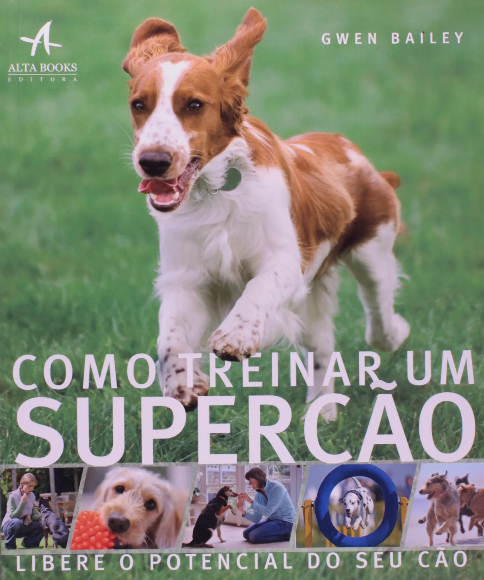 Como treinar um super cão Como treinar um super cão