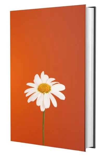 Bíblia Sagrada NVI – Margarida: Nova Versão Internacional com plano leitura