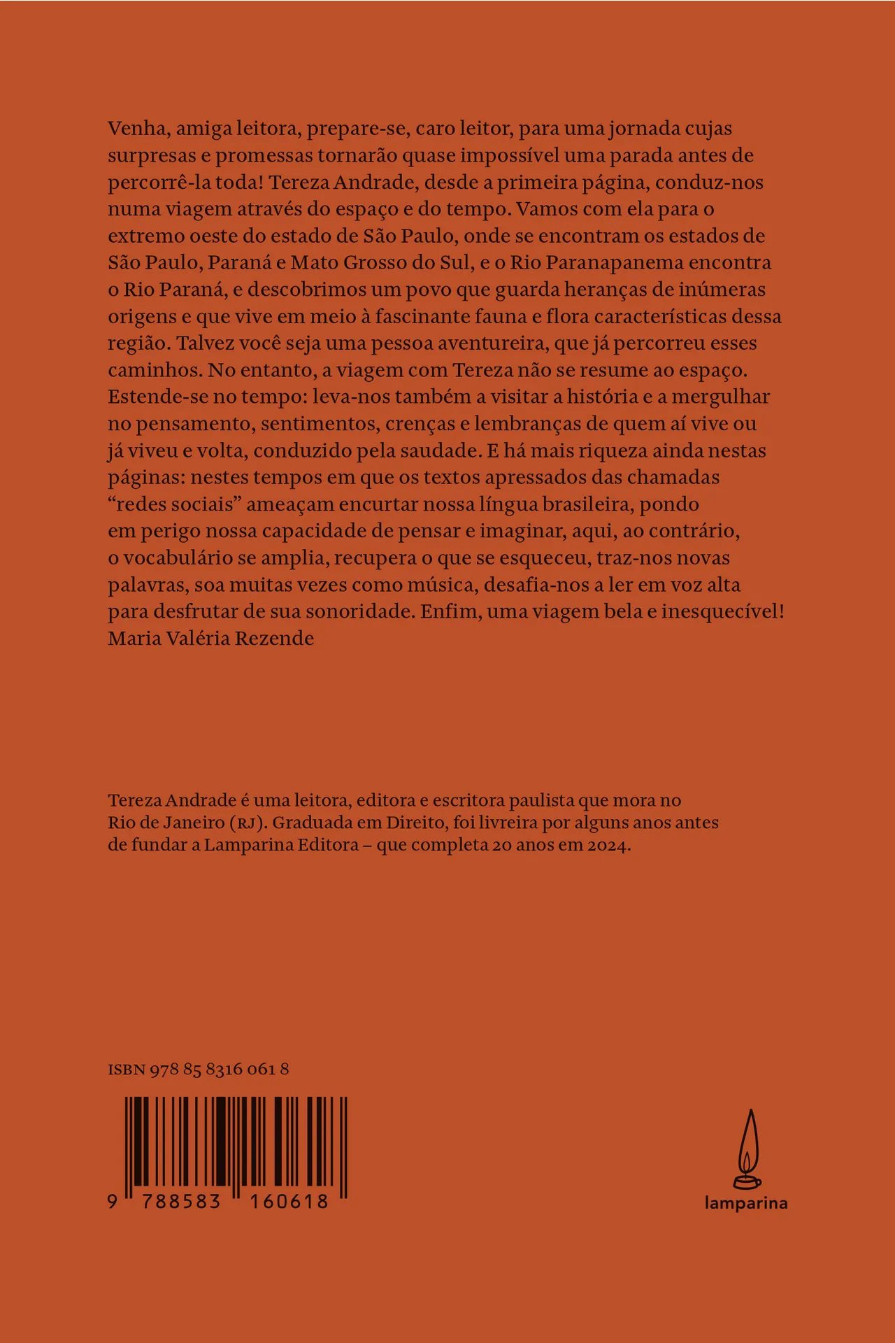 A cidade das aves: A cidade das aves: - Imagem 2