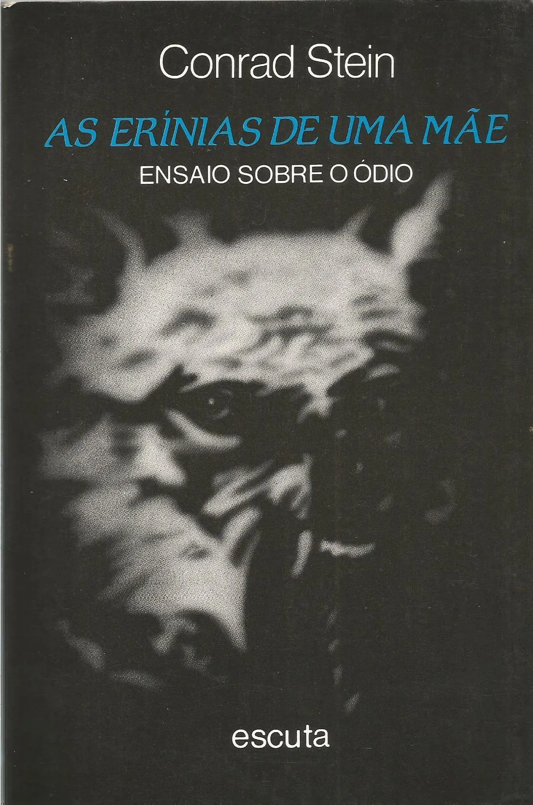 As erínias de uma mãe: ensaios sobre o ódio As erínias de uma mãe