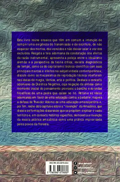 Educação, dialética e horizonte crítico em Theodor Adorno: a pedra que caiu no rio Educação, dialética e horizonte crítico em Theodor Adorno Quarta Capa