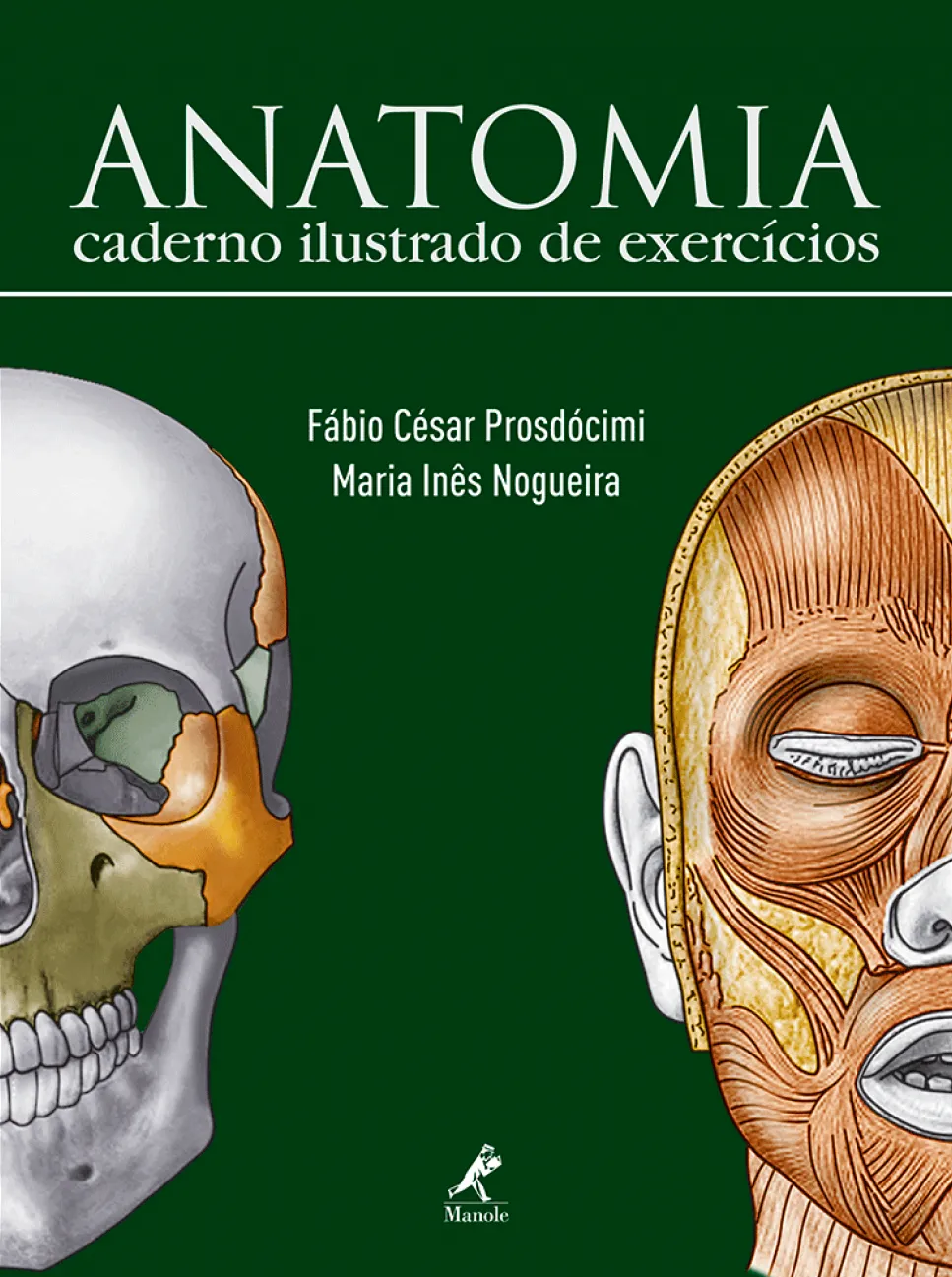 Anatomia Anatomia