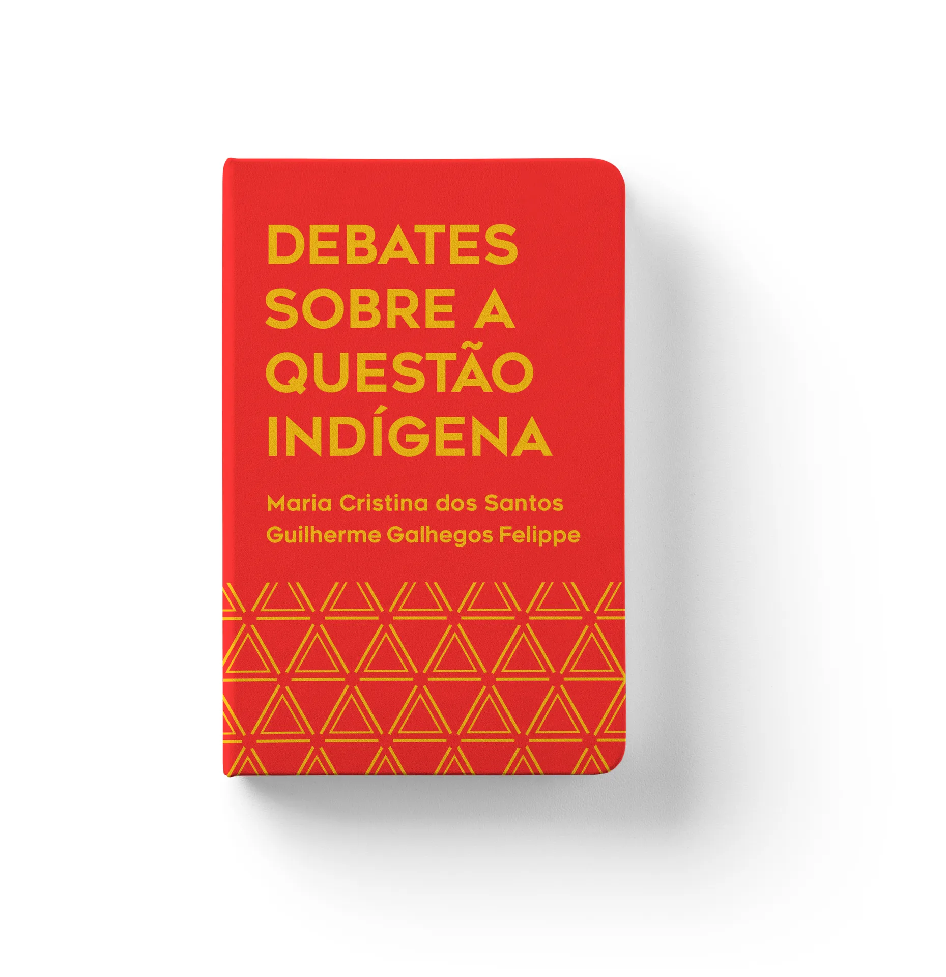 Debates sobre a questão indígena: histórias, contatos e saberes Debates sobre a questão indígena: histórias, contatos e saberes - Imagem 2